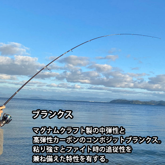 シーバスロッド ADAMAS S83ML
